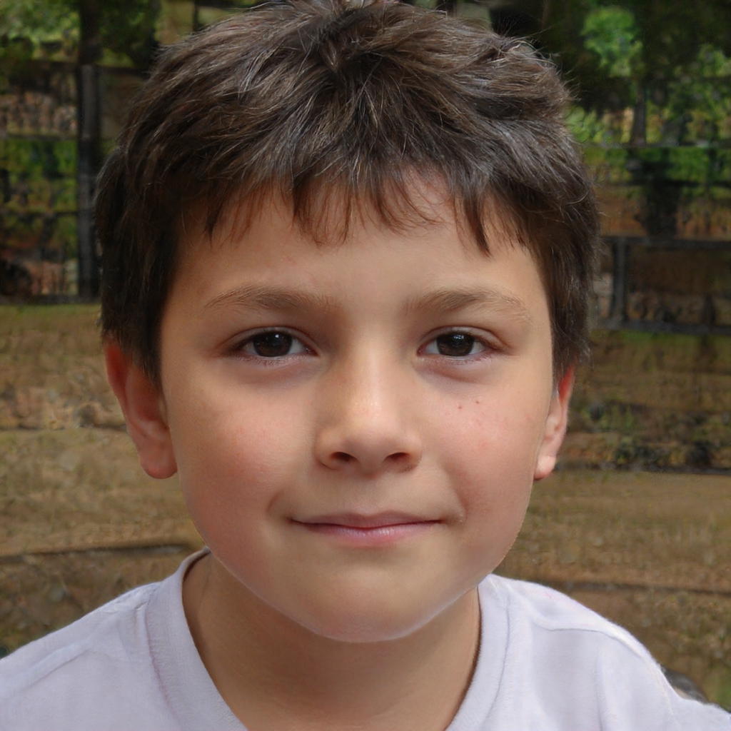 Imago Ratione Simulata Confecta