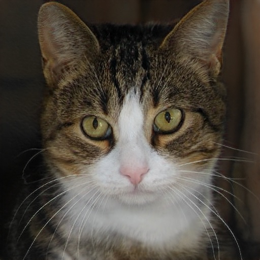 Imago Ratione Simulata Confecta